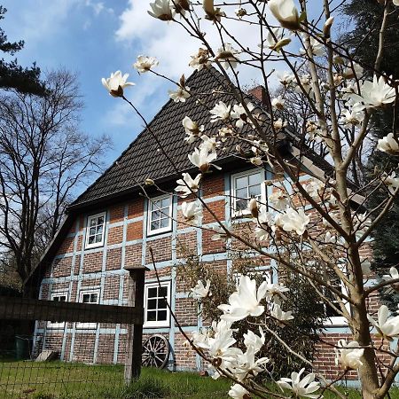 Schoenes Apartment Vor Den Toren Hamburgs - Keine Monteurwohnung Asendorf Ngoại thất bức ảnh